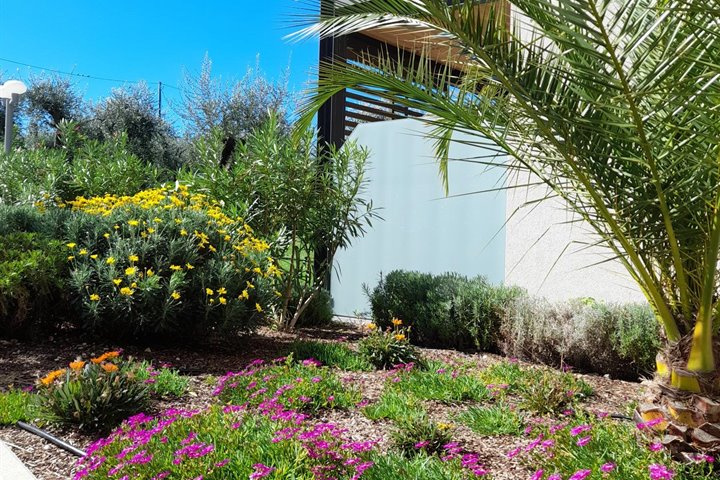 🌿 Primavera a Malcesine: il momento perfetto per riscoprire la bellezza del Lago di Garda